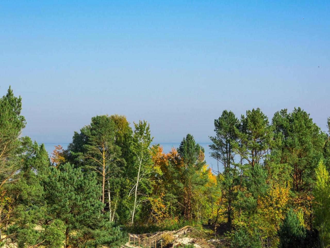 Apartment Vacationclub - Bursztyn 36